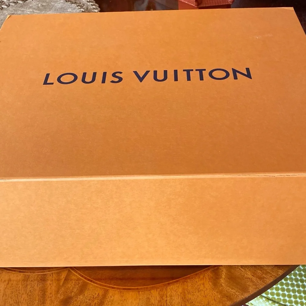 Louis Vuitton Beige and Brown Satchel - Picture 14 of 14